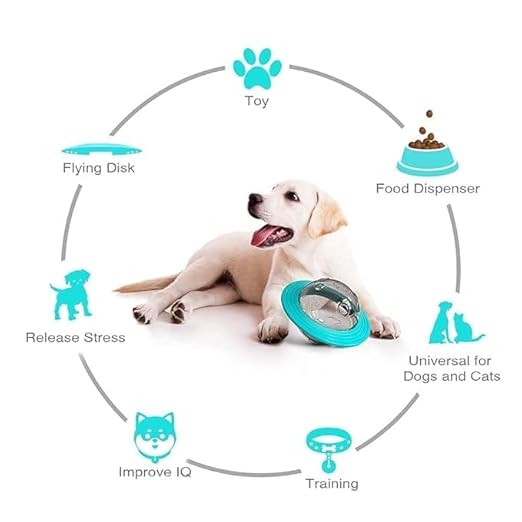 Reflective collar with bell – 🎾🐶