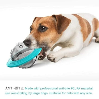 Reflective collar with bell – 🎾🐶